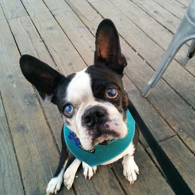 803928_mMBWENwjhvI_ECf3RZhnWAodqOS1Upbda8ad4v57PiQ